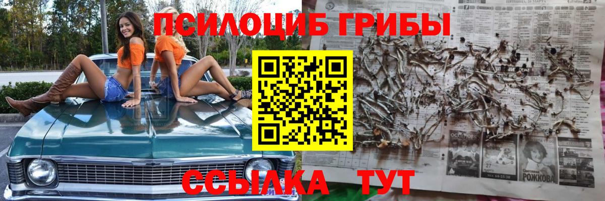 Псилоцибиновые грибы мухоморы  где купить наркотик  Серов  Вход с VPN  Галлюциногенные грибы Magic Shrooms 