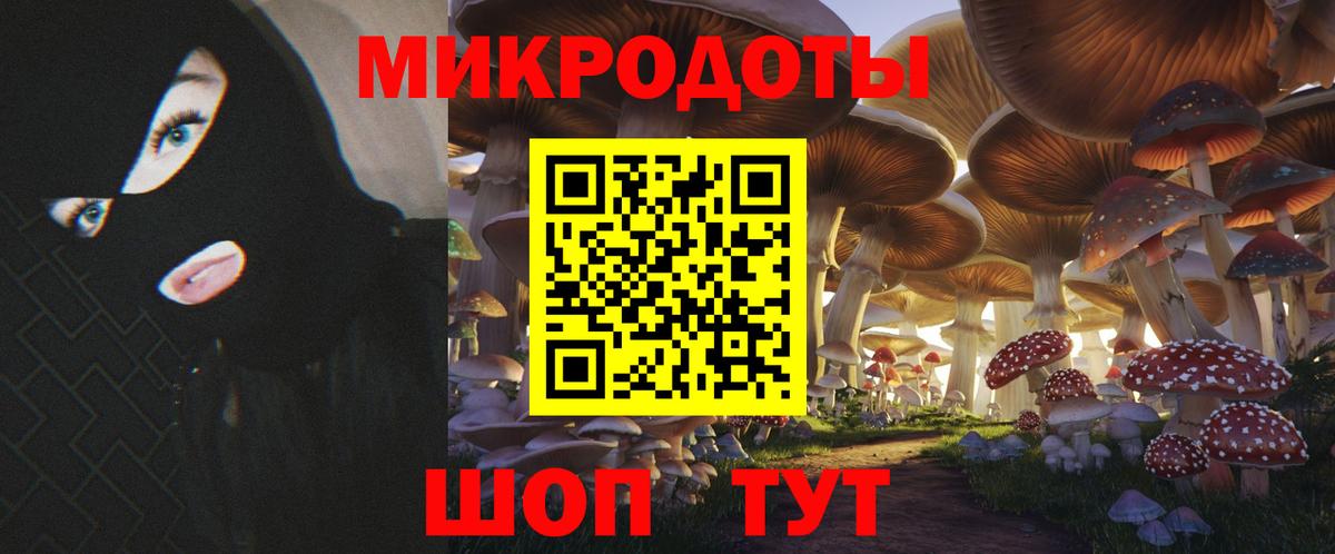 Псилоцибиновые грибы мицелий Серов